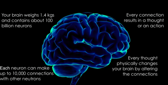 Mumbrella360 video: The 10 Second Rule of Brains and Brands
