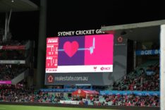 HCF Heart of the Swans activation 2