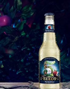 BMF and Sweet Shop capture moments in time with new Lion Five Seeds Cider campaign