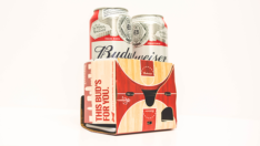 budweiser Cavaliers VR headset 1