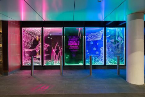 leo burnett great barrier reef wwf vivid