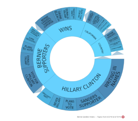 Brodie Evans Bernie vs Hillary - voter wheel