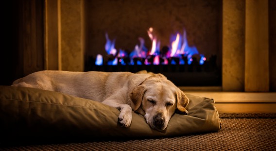 Alinta Energy uses cosy images to push ‘Positive energy’ message