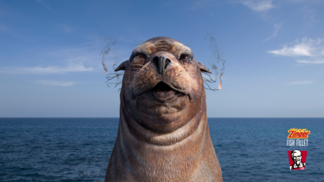 KFC Cannes Seal