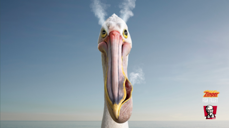 KFC Cannes pelican