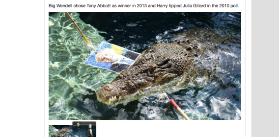 NT News’ psychic crocodile calls election