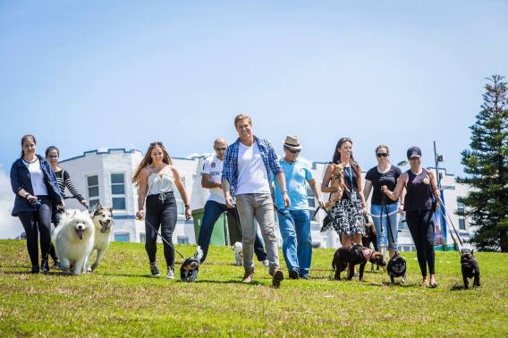 Veterinarian Dr Chris Brown wants to keep Australia pet friendly