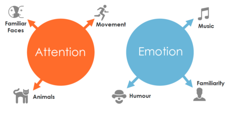 videology study attention v emotion
