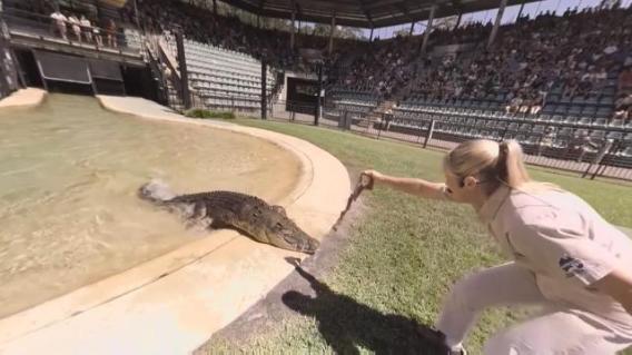 Australia Zoo’s VR project first in a push to ‘revolutionise zoo visits’