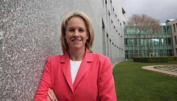 Communications Minister cool on suggestions portfolio will go to the National Party