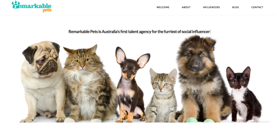 The Remarkables spins off ‘Aussie first’ pet influencer agency
