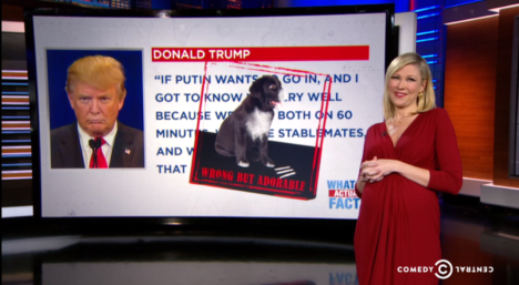the daily show jokes fact check