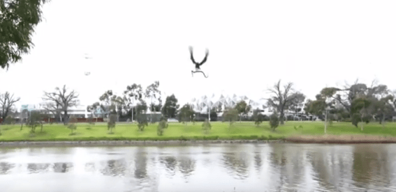 Woolshed Co reveals it created ‘hawk drops snake’ video for AFL team