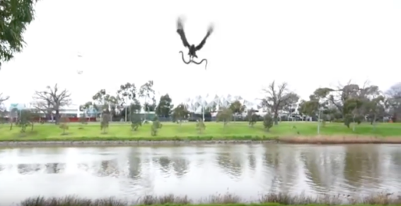 News sites aren’t fooled by fake videos – they play along because it’s good for traffic