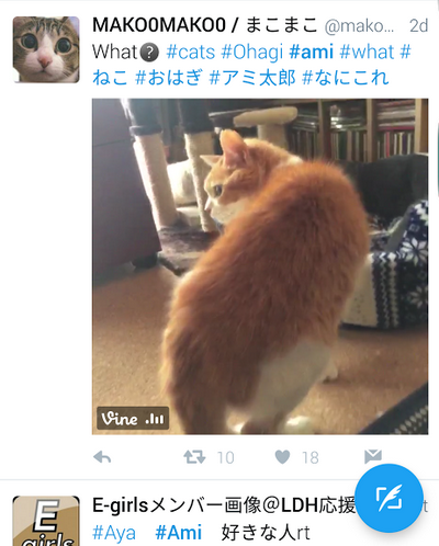 AMI Awards hashtag delivers extra amusement as cats take over