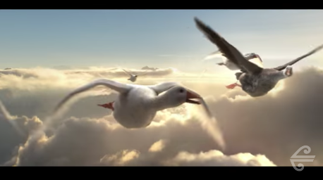 Air NZ turns to Dave the goose in campaign to lift awareness of airline’s international network