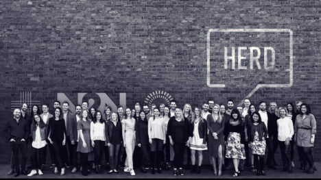 herd-image