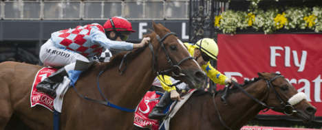 Nova partners with the Victoria Racing Club for the Melbourne Cup carnival