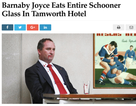 betoota-joyce-schooner