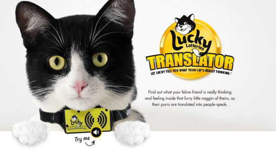 Lucky Lotteries gives cats a voice with translator device giveaway calling for cat memes