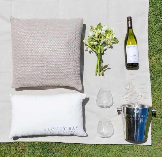 Cloudy Bay and Mediacom partner for live music event to break brand to younger market