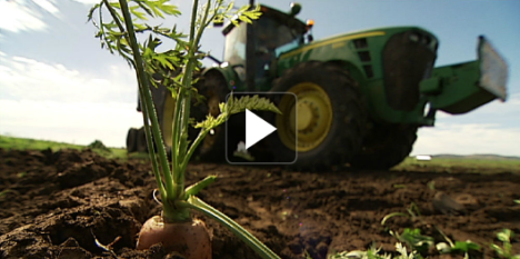 abc-landline-carrots-girl-power-screen-shot