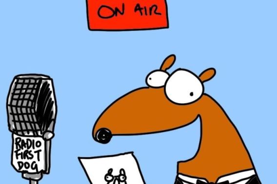 Last dog on the radio