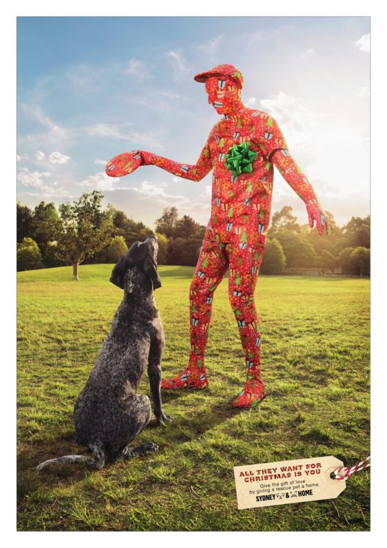scdh-ooh-dog1-1