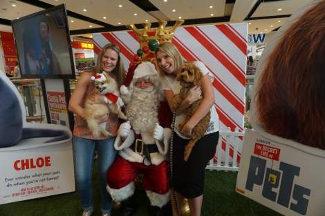 Santa takes photos with furry friends for DVD launch of Secret Life of Pets