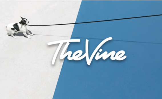 Junkee Media acquires The Vine, taps former owner to lead new social video product