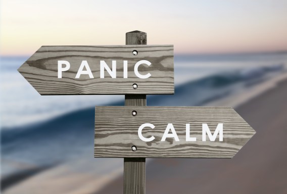 Should you blame a crisis on a rogue employee or the system?