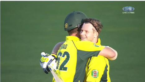 Cricket and news continue dominance in ratings battle