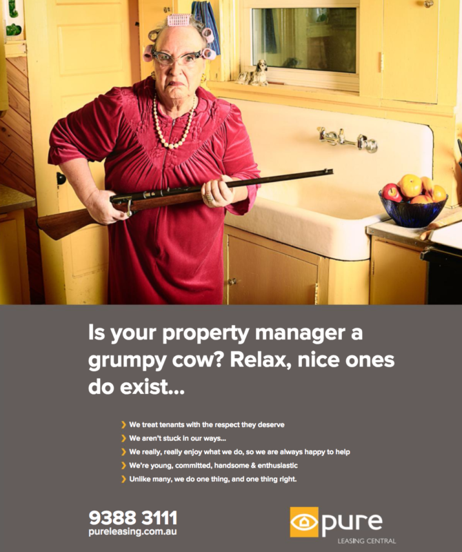 shotgun-real-estate-grumpy-old-cow