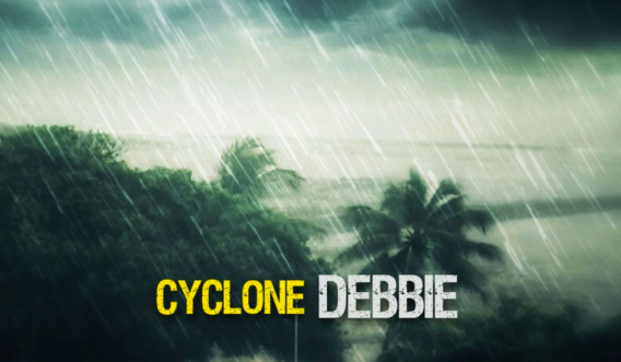Cyclone Debbie sees news dominate Thursday night TV