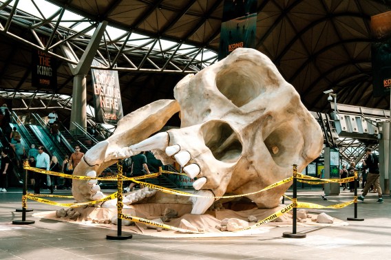 JC Decaux drops skull in Melbourne ahead of Kong: Skull Island premiere