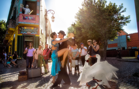 Air New Zealand brings Dave the goose to Buenos Aires