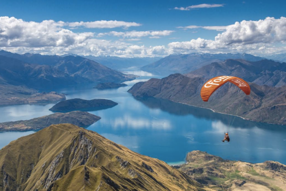 Forward Agency partners with Wright Communications for NZ expansion