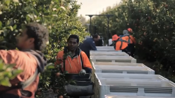 NAB showcases the lives of Agribusiness customers in ongoing ‘More than money’ campaign