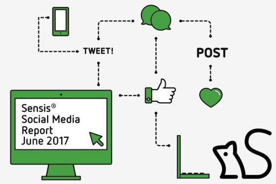 Australian businesses plan to spend less on social media claims Sensis