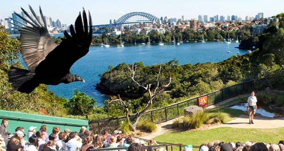 TBWA Sydney re-appointed to Taronga Zoo’s creative account