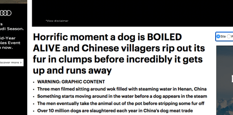 Daily Mail censured for video of dog boiling in pot