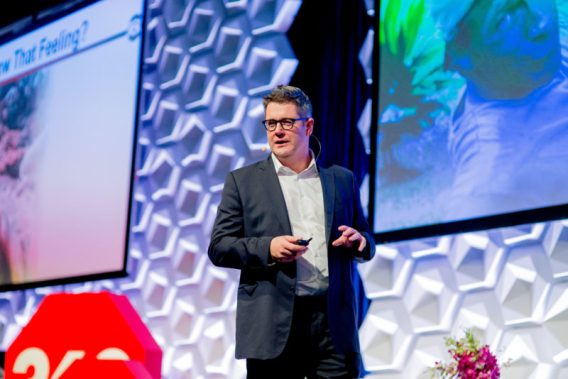 ‘Loosen’ constraints on domestic media instead of holding back Google and Facebook, Ritson tells Senators