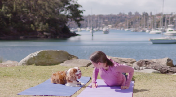 Nestle Purina launches first content video with Yahoo7 Storytellers