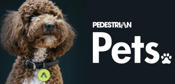 Pedestrian Pets launches, locks in petinsurance.com.au as commercial partner