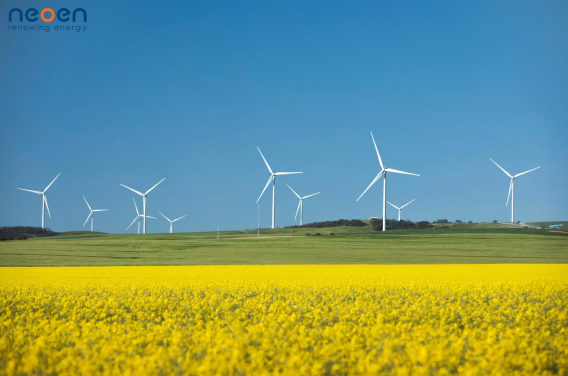Red Agency wins renewable energy company Neoen