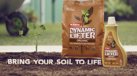 Yates soil brings ‘Benny the Bean’ to life in Dynamic Lifter ad