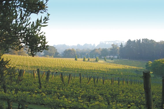 Wanderlust Union appointed as PR Agency for Lindenderry at Red Hill