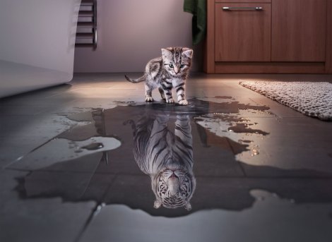 Inside the five most eye-catching launch campaigns of 2018