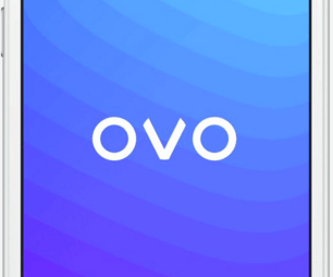Southern Cross Austereo takes stake in telco and digital broadcasting startup OVO Mobile