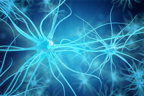 IBM AI expert to present exclusive webinar on Mumbrella